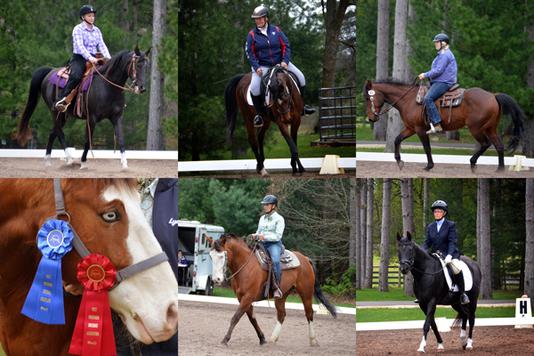 lost creek ranch adult rider dressage western dressage team